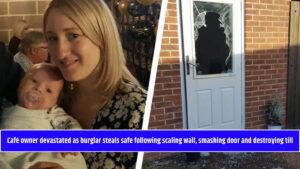 Café owner devastated as burglar steals safe following scaling wall, smashing door and destroying till