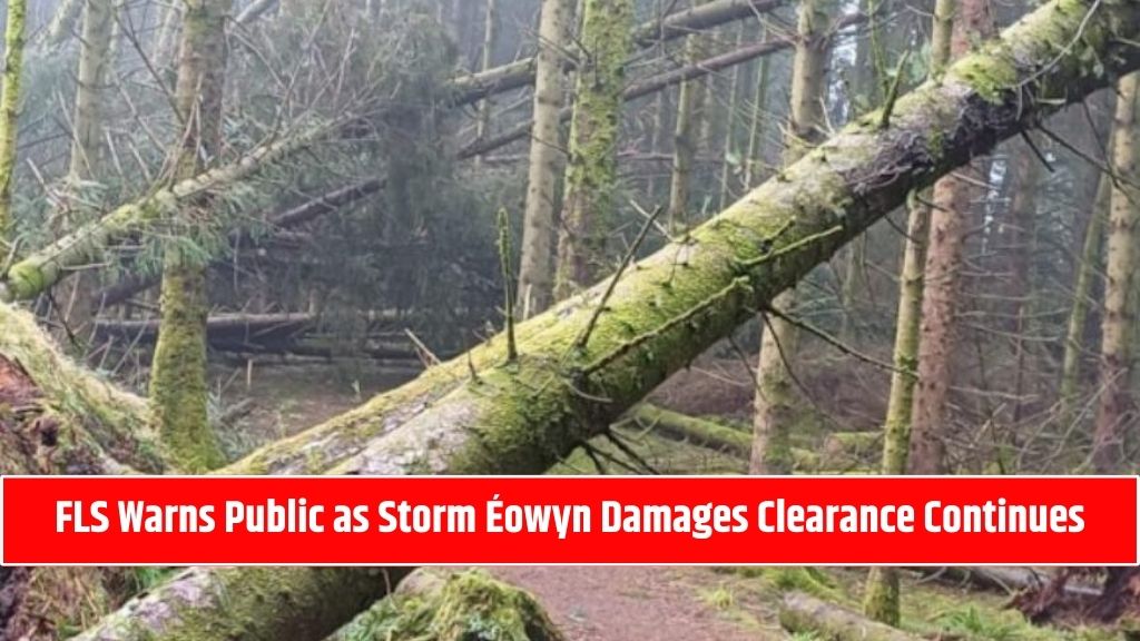 FLS Warns Public as Storm Éowyn Damages Clearance Continues