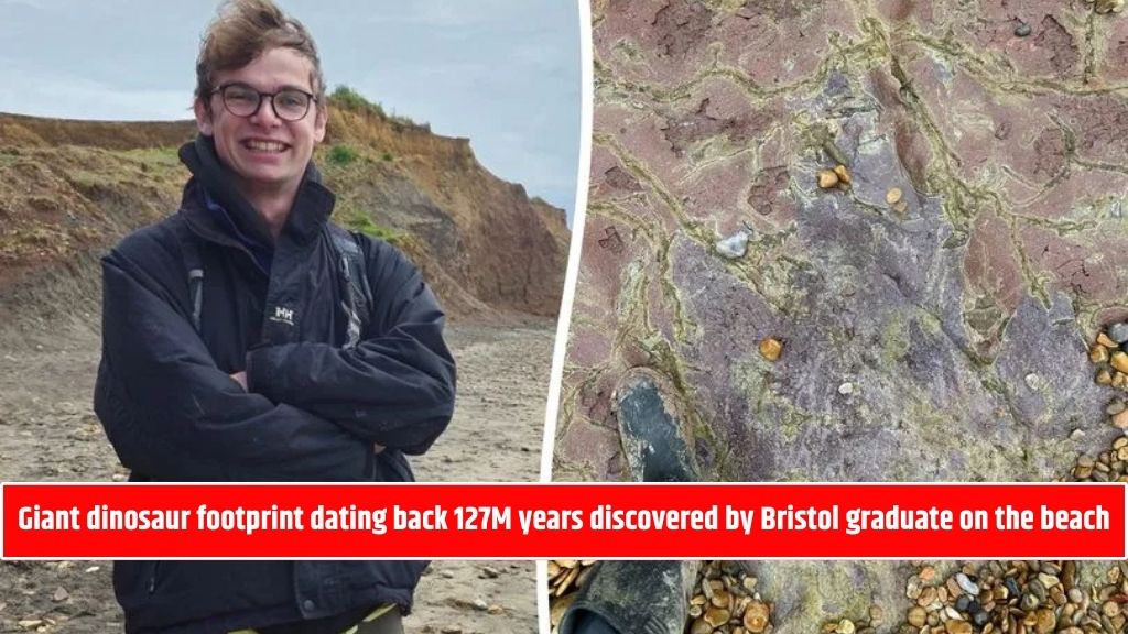 Giant dinosaur footprint dating back 127M years discovered by Bristol graduate on the beach