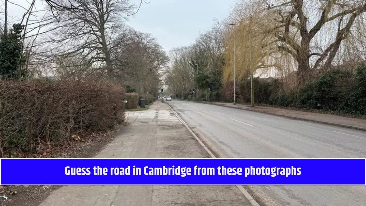 Guess the road in Cambridge from these photographs