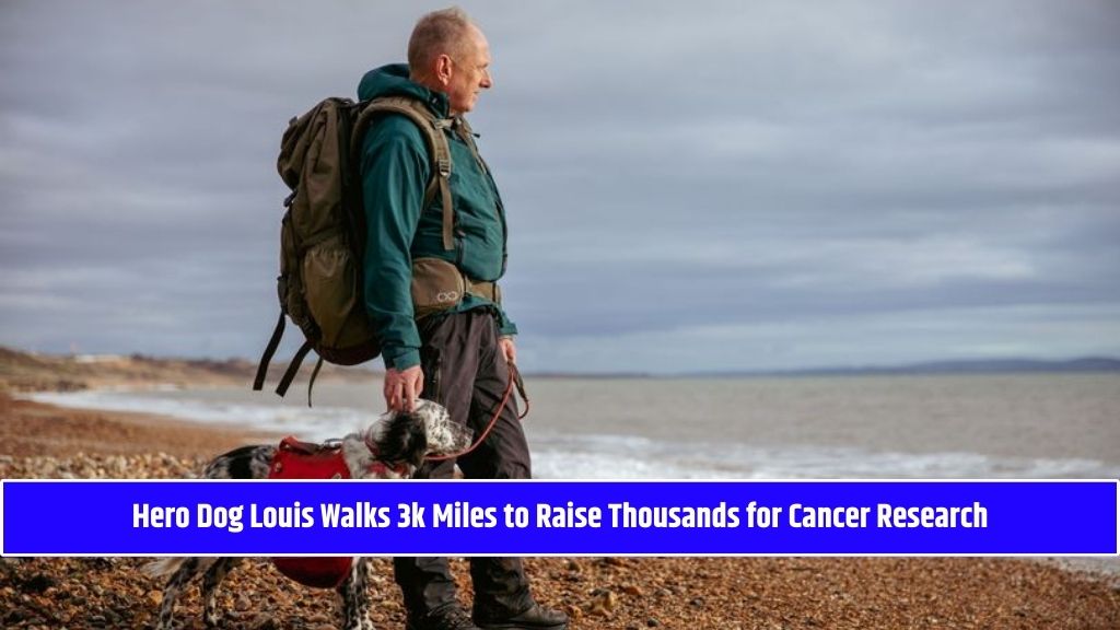 Hero Dog Louis Walks 3k Miles to Raise Thousands for Cancer Research