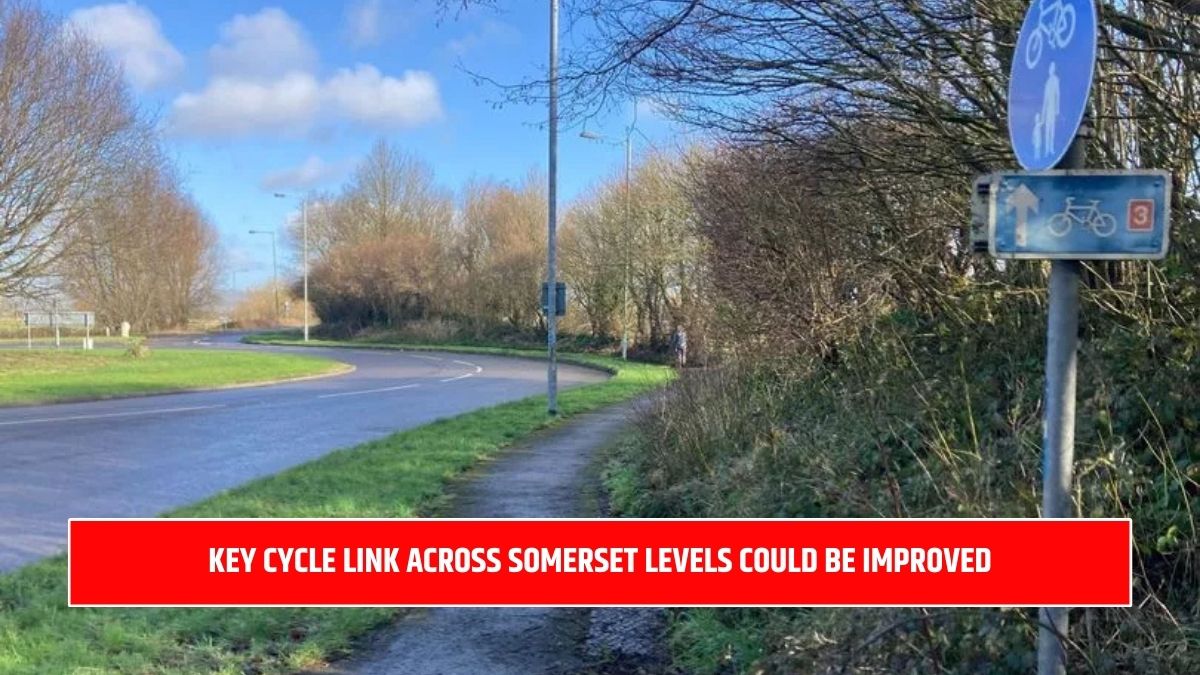 Key cycle link across Somerset Levels could be improved