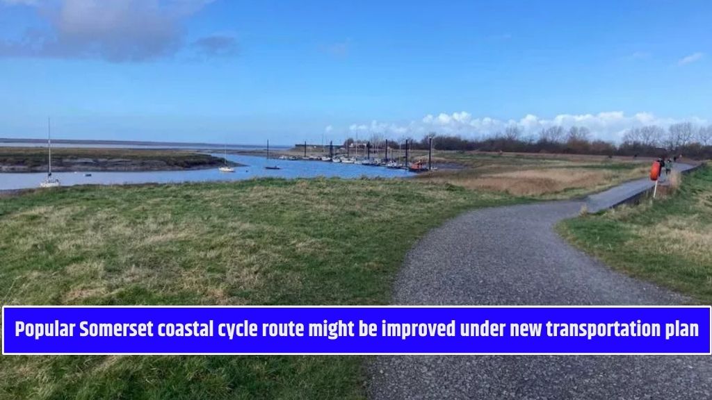 Popular Somerset coastal cycle route might be improved under new transportation plan