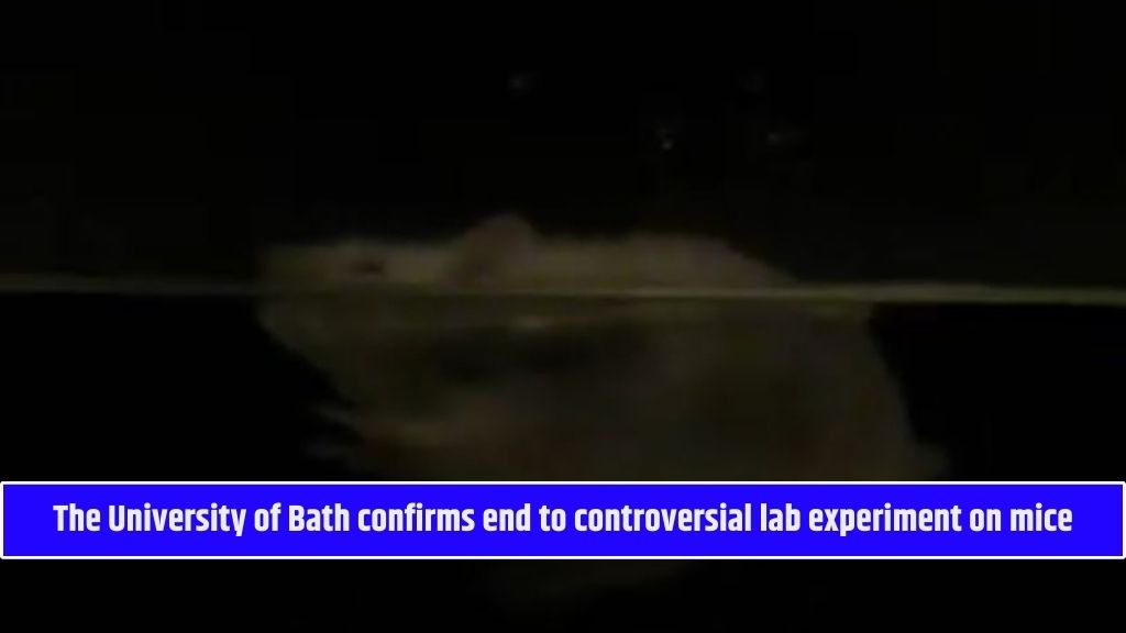 The University of Bath confirms end to controversial lab experiment on mice